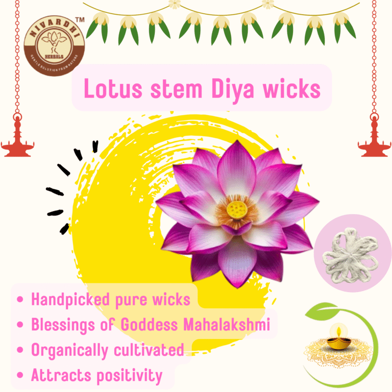 Lotus stem (diya / deepam) lamp wick (Thamarai thandu thiri) - Image 5