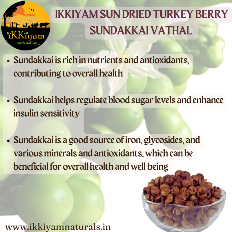 Sundried Turkey berry (sundakkai) vathal 100g - Image 3
