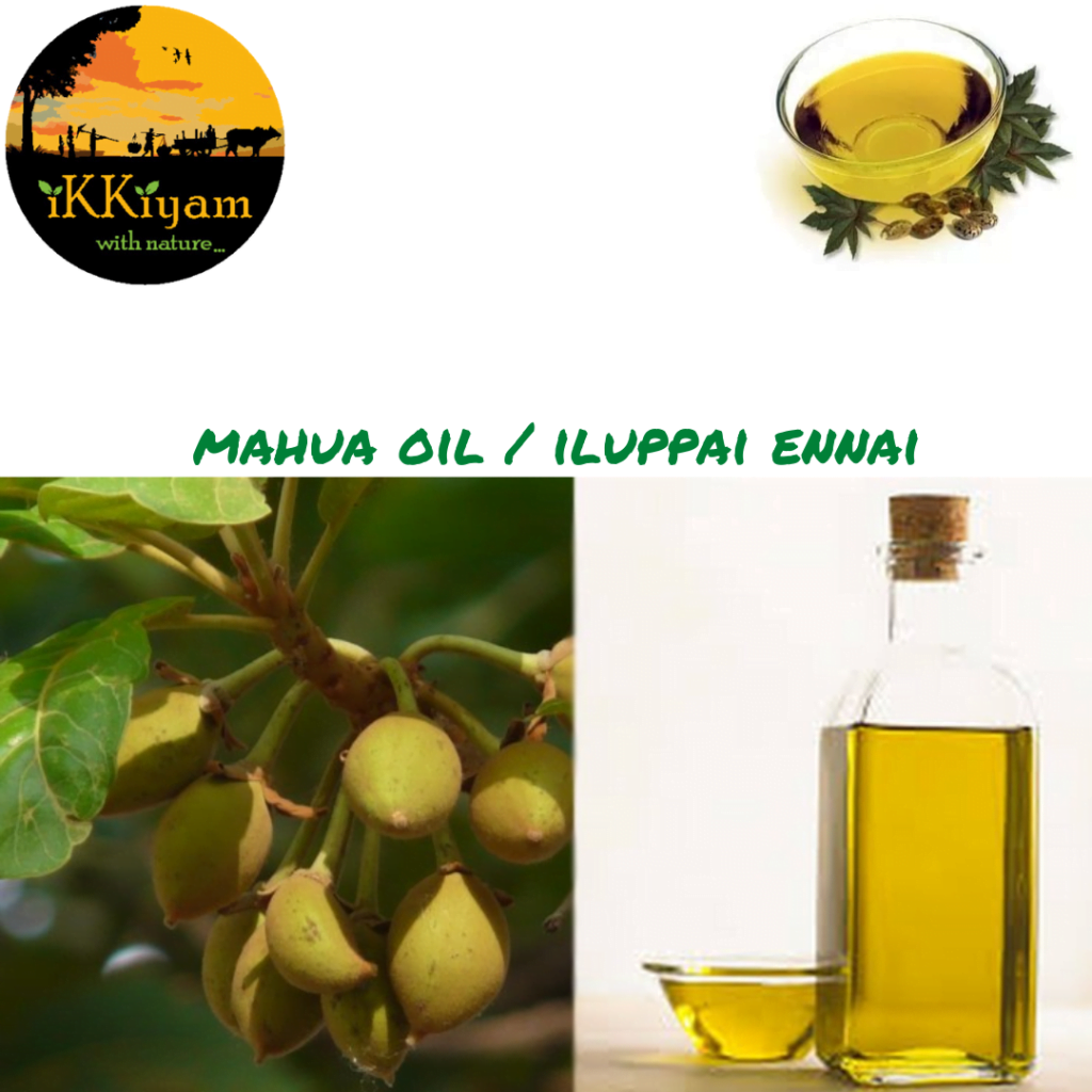 Mahua Oil (Iluppai oil) 100ml Ammisamayal Healthy Food Products