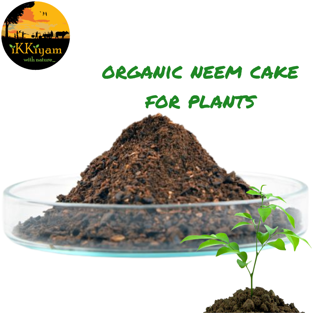 Neem Products - NeemVikas Neem Cake Powder Manufacturer from Indore