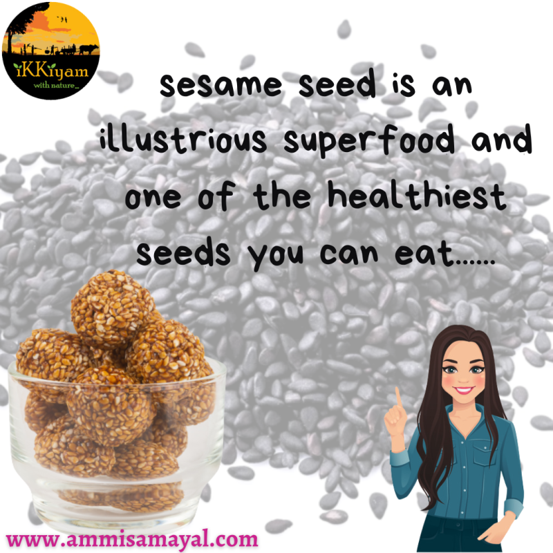 All Chikkis | Kadalai mittai -  Assorted Pack of 10 - Image 3