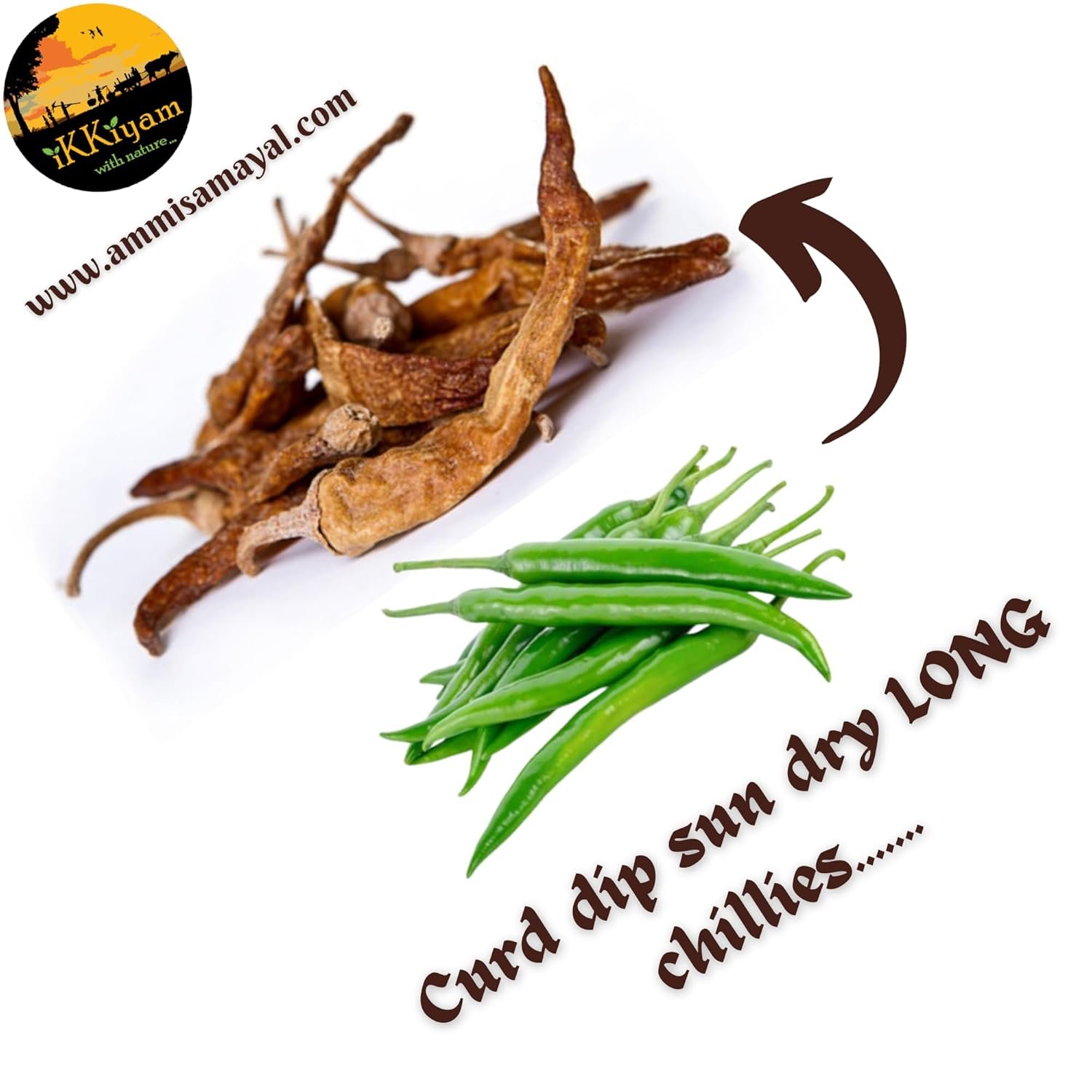 Curd dip sundried chilly (Mormilagai) LONG chilly - Image 6