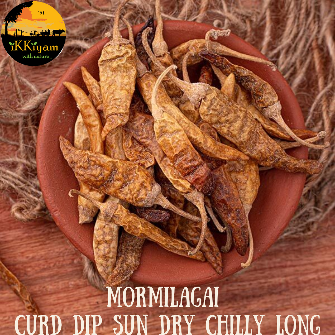 Curd dip sundried chilly (Mormilagai) LONG chilly - Image 3