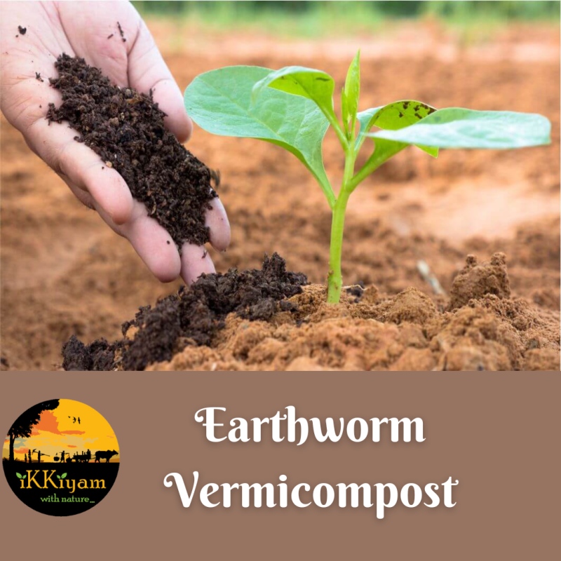 ikkiyam Natural Earthworm manure | Vermicompost | 1 kg for plants - Image 5