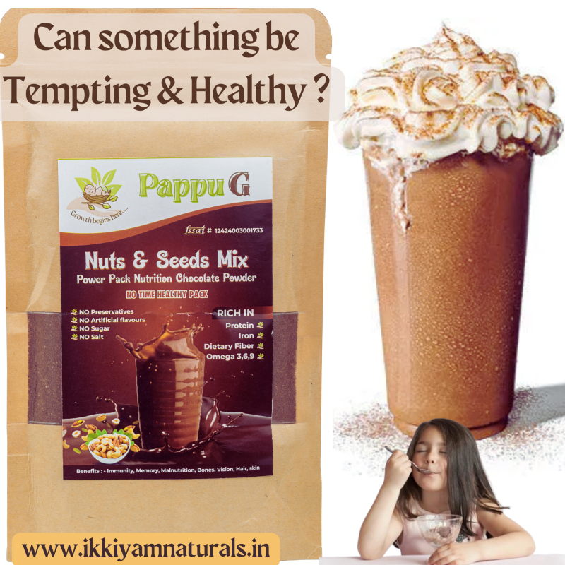 PappuG Dry fruits, Nuts & Seeds Mix | Power Pack Nutrition with Cocoa (Choco) | NO sugar added | 100% Natural health mix 100 grams - Image 4