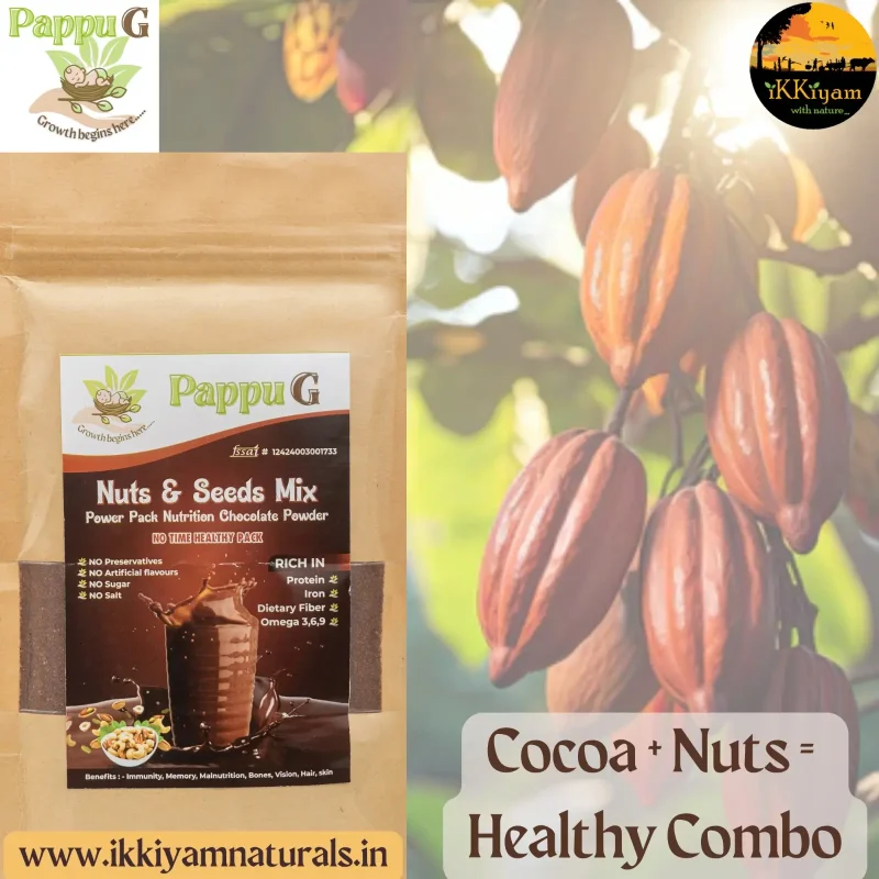 PappuG Dry fruits, Nuts & Seeds Mix | Power Pack Nutrition with Cocoa (Choco) | NO sugar added | 100% Natural health mix 100 grams - Image 3