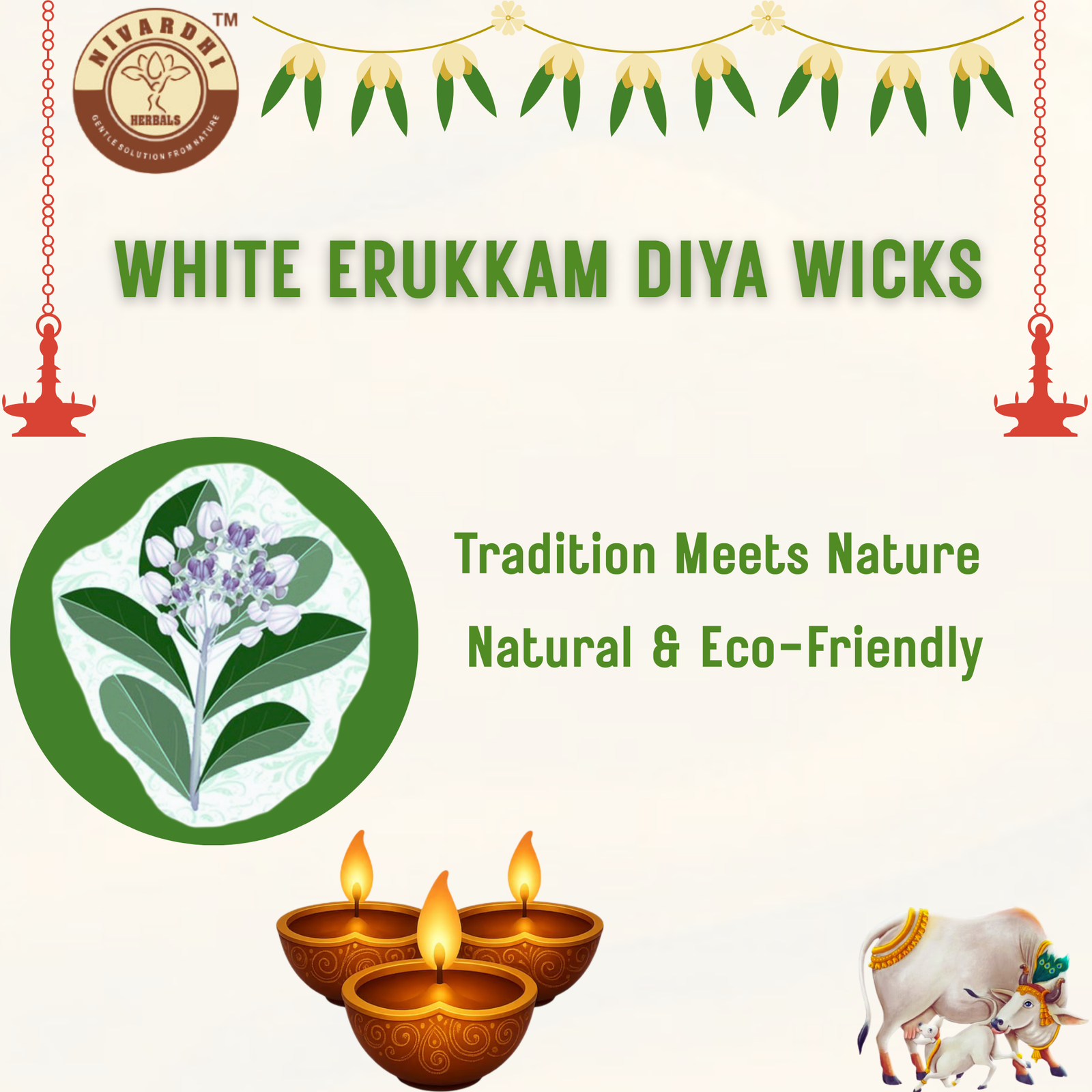White Calotrophis/Milkweed (diya / deepam) wick (White Erukkan thiri) - Image 3