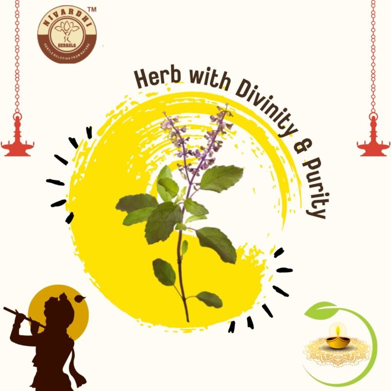 Nivardhi Herbals Pancha diya oil with Krishna tulsi | Blend of 5 pure oil with herbal benefits for pooja | 500ml  - Image 2