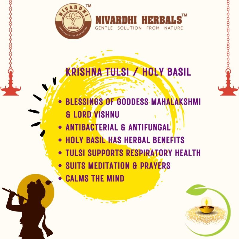 Nivardhi Herbals Pancha diya oil with Krishna tulsi | Blend of 5 pure oil with herbal benefits for pooja | 500ml  - Image 5
